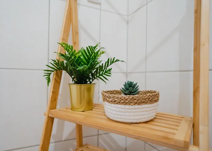 Apartman Blue Chili 02 - Md Zentral Carre Wlan Magdeburg