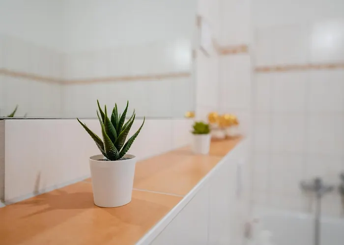 Apartman Blue Chili 02 - Md Zentral Carre Wlan Magdeburg